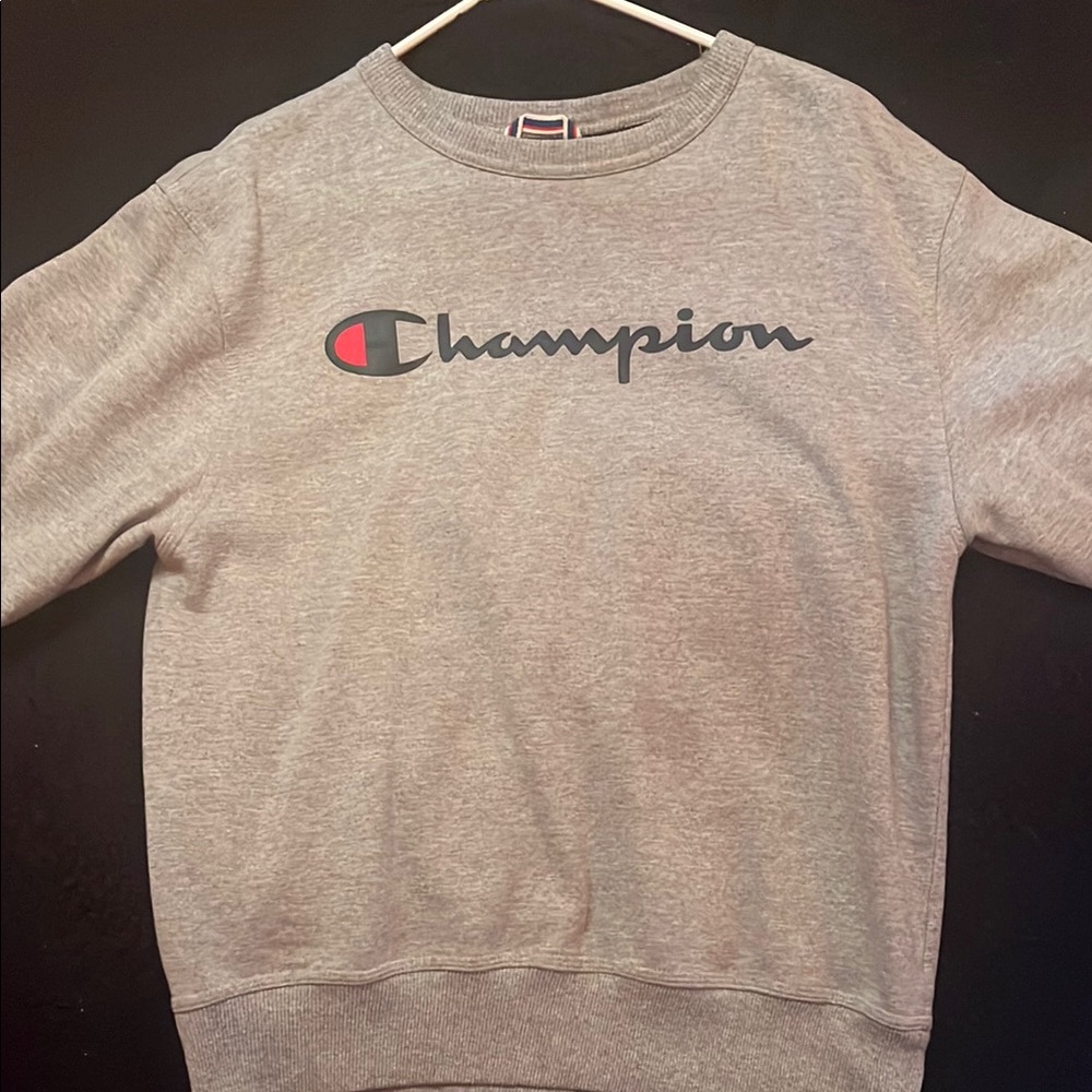 Champion Gray Sweatshirt